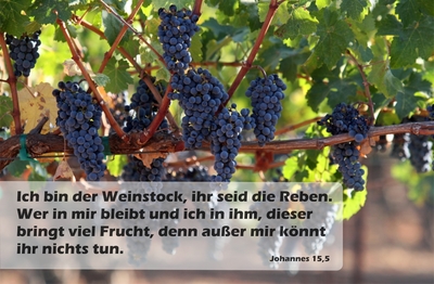 Spruchkärtchen 027 (Johannes 15,5)