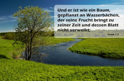 Spruchkärtchen 022 (Psalm 1,3)