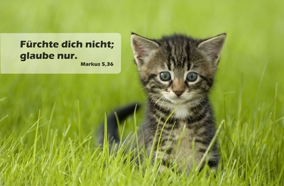 Spruchkärtchen 009 (Markus 5,36)