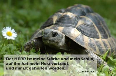 Spruchkärtchen 079 (Psalm 28,7)