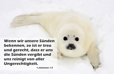 Spruchkärtchen 024 (1. Johannes 1,9)