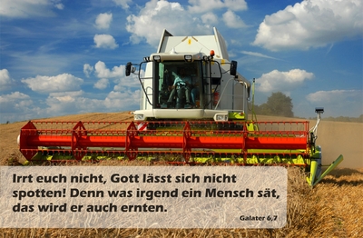 Spruchkärtchen 043 (Galater 6,7)