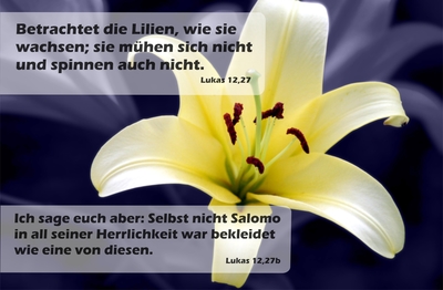 Spruchkärtchen 041 (Lukas 12,27b)