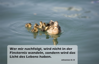 Spruchkärtchen 004 (Johannes 8,12)