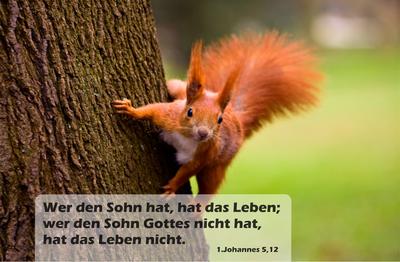 Spruchkärtchen 074 (1. Johannes 5,12)