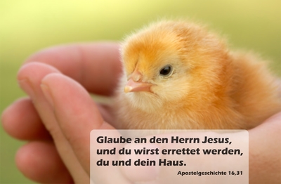 Spruchkärtchen 002 (Apostelgeschichte 16,31)