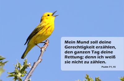 Spruchkärtchen 080 (Psalm 71,15)