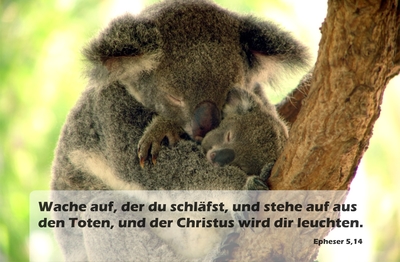 Spruchkärtchen 015 (Epheser 5,14)