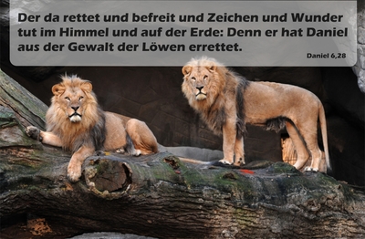 Spruchkärtchen 102 (Daniel 6,28)