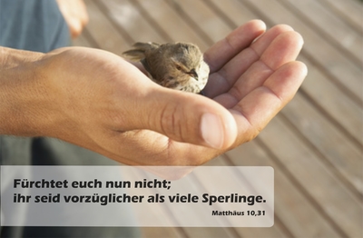 Spruchkärtchen 148 (Matthäus 10,31)