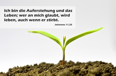 Spruchkärtchen 032 (Johannes 11,25)