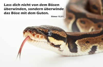 Spruchkärtchen 120 (Römer 12,21)