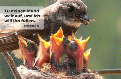 Spruchkärtchen 035 (Psalm 81,11b)
